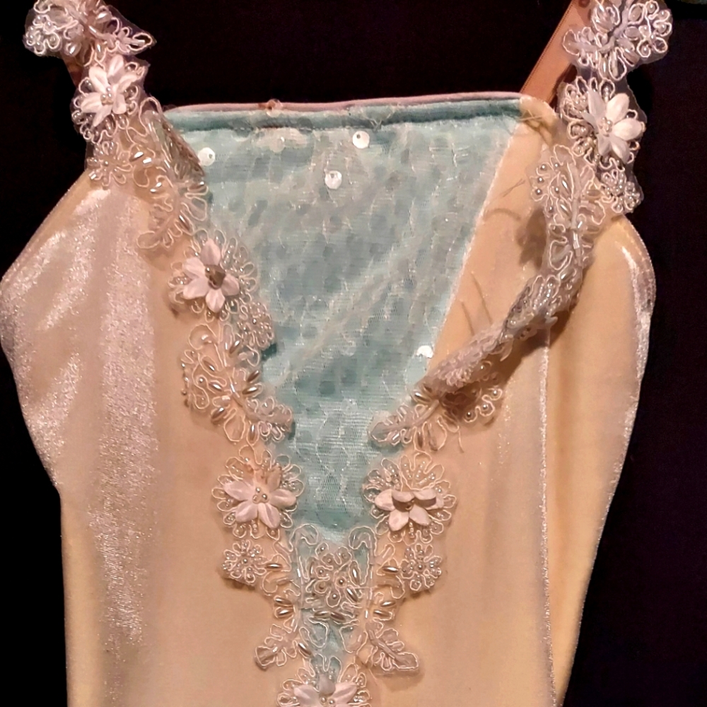 Dance/Ballet costume in excellent condition.